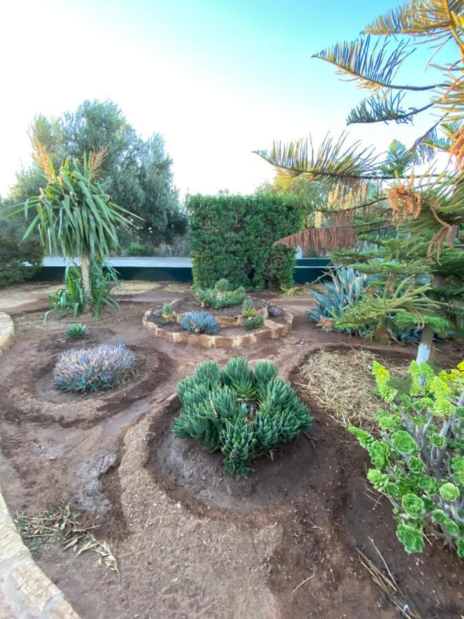 Riad Les Trois Merveilles Essaouira Buitenkant foto